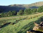 Swindale.
