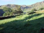 Swindale.