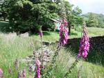 Swindale Head Farm.