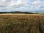 Measand Beck walk.