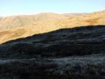 From Grey Crag.