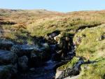 Looking back up Little Mosedale Beck.
