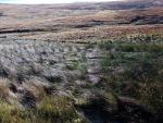 Ulthwaite Rigg walk.