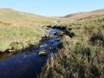Following Little Mosedale Beck down towards Mosedale.