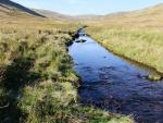 Up Mosedale Beck.