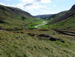 Almost down to the old quarry road.