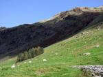 Longsleddale.