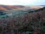 Looking north across Swindale towards Rossgill Moor.