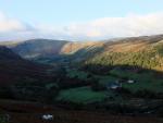 Swindale.