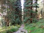 Whelpside Gill walk.
