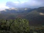Scafells from Grey Friar.