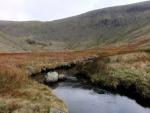 Tarn Head Beck.
