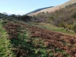 Miterdale.