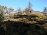 Irton Fell.