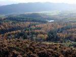 From Irton Pike.