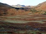 Looking along Blea Moss beyond Side Pike to the Langdale Pikes.