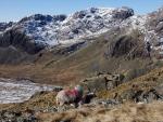 Esk Pike walk.