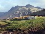 Langdale Pikes.