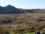 Looking across Fox Bield Moss to the rocky island of Fox Bield.