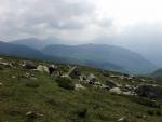From Seatallan.