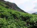Buckbarrow.
