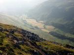 Grizedale.