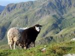 From Striding Edge.