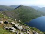 Catstycam.