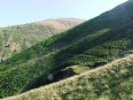 Helvellyn dawn walk.