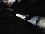Cavernous.