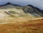 Great Moss.