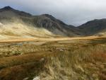 Great Moss.