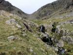 Looking to Broadcrag Col at the head of Little Narrowcove.