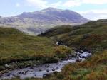 Cowcove Beck.