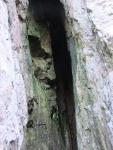 Dovenest cave.