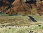 Langstrath.