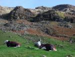 Langstrath.