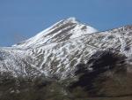 Catstycam close up.