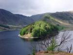 The Rigg.