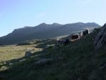 Pike De Bield in the distance.