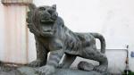 Lion 1.