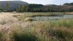 Harrop Tarn.