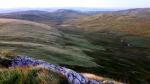 Crookdale.