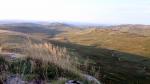 Crookdale.
