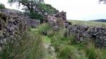 Wasdale Head Farm.