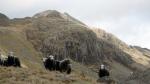 Cam Spout Crag walk.