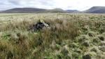 Stockdale Moor.