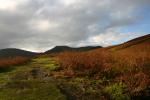 First sight of the Coledale Horseshoe fro Kinn.