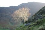 Maiden Moor across Newlands valley.