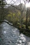 Hindscarth and Robinson walk.